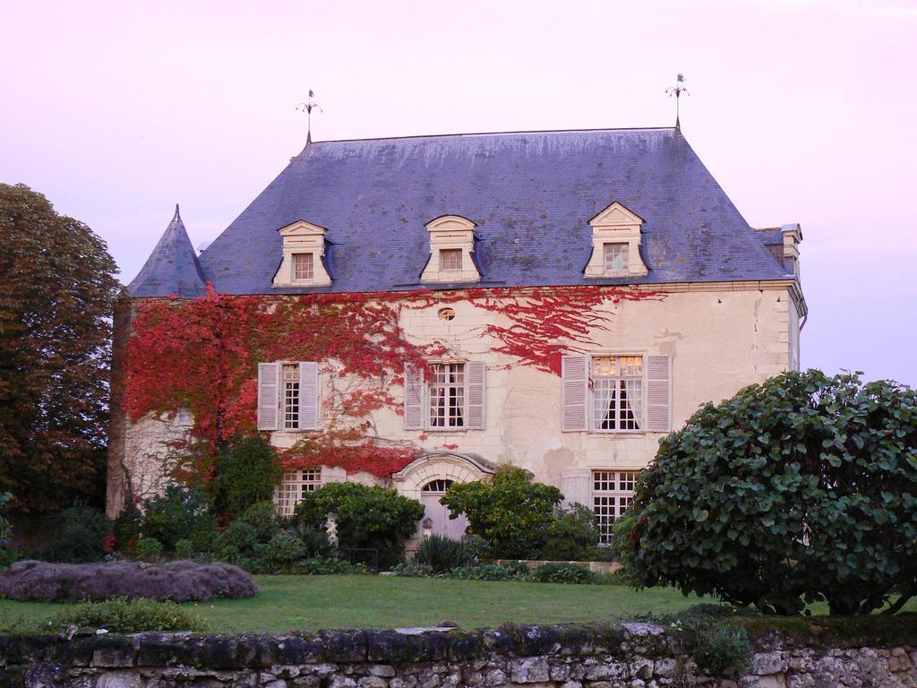 Gite Chateau De Chaintres Dampierre-sur-Loire Стая снимка